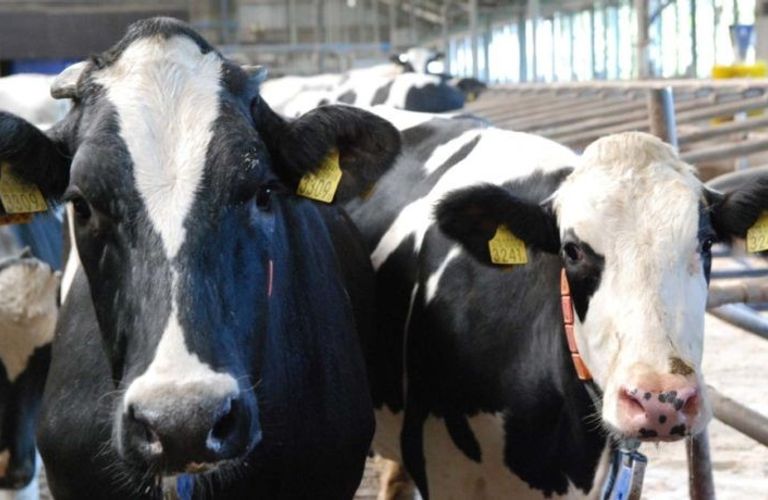 Multichannel uitgeven vraagt om een stevig fundament