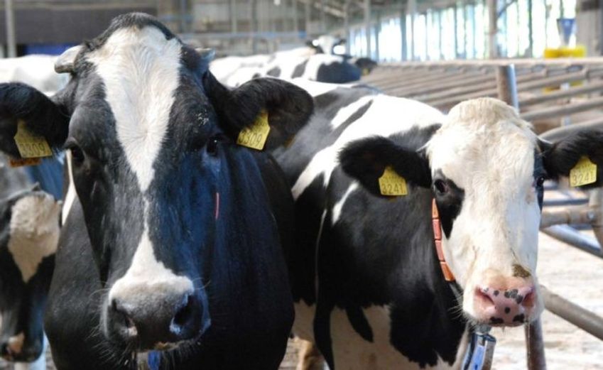 Multichannel uitgeven vraagt om een stevig fundament