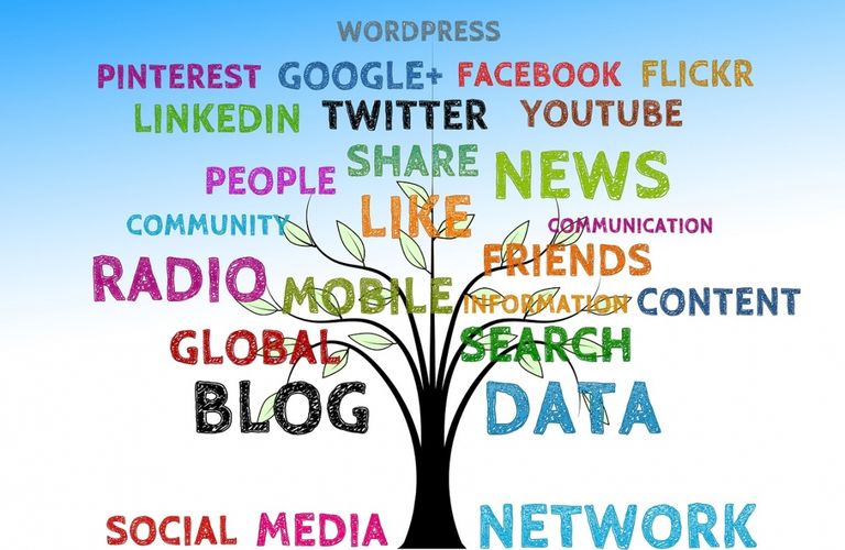 Nationale Social Media onderzoek 2025