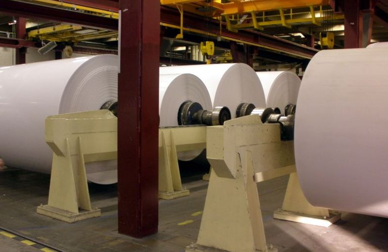 Houtvrij vs. Houthoudend Papier: Wat is Duurzamer?