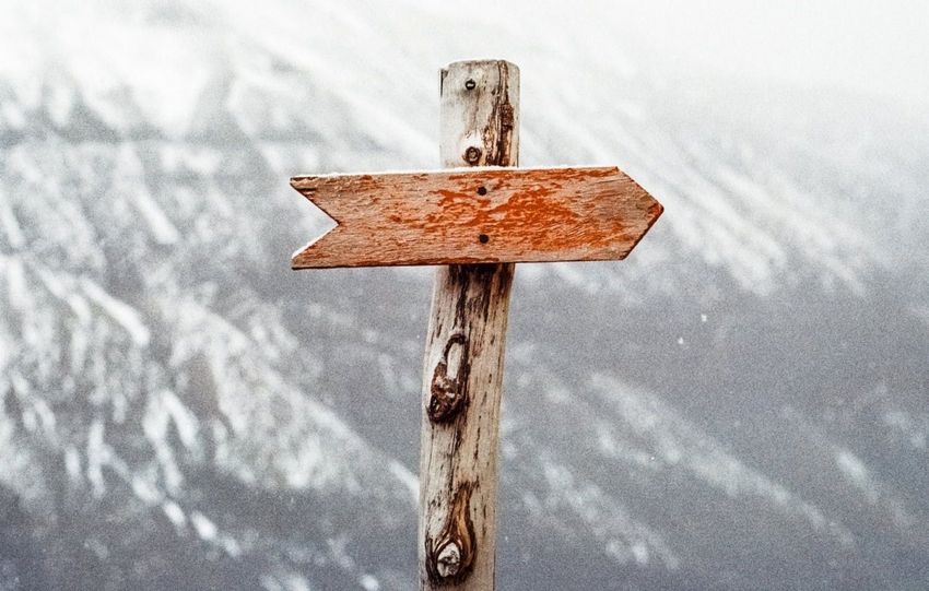 Onjuiste verwijswoorden