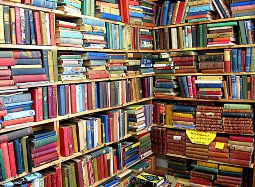 Boekwinkeltjes.nl groeit al twintig jaar