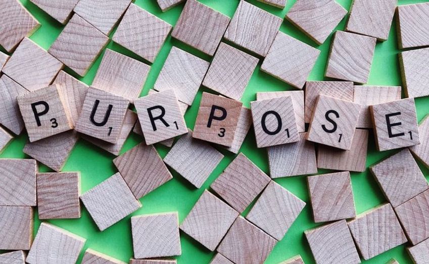 Hearst lanceert 'purpose decks': merk- en domeinoverstijgende thema’s