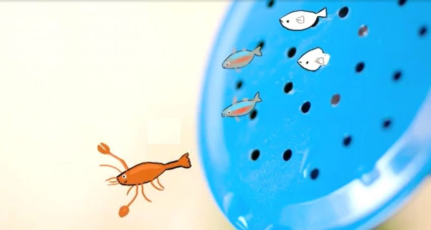 NPO Zapp/Zappelin ondersteunt ouders en leraren met meer educatieve programma’s op tv