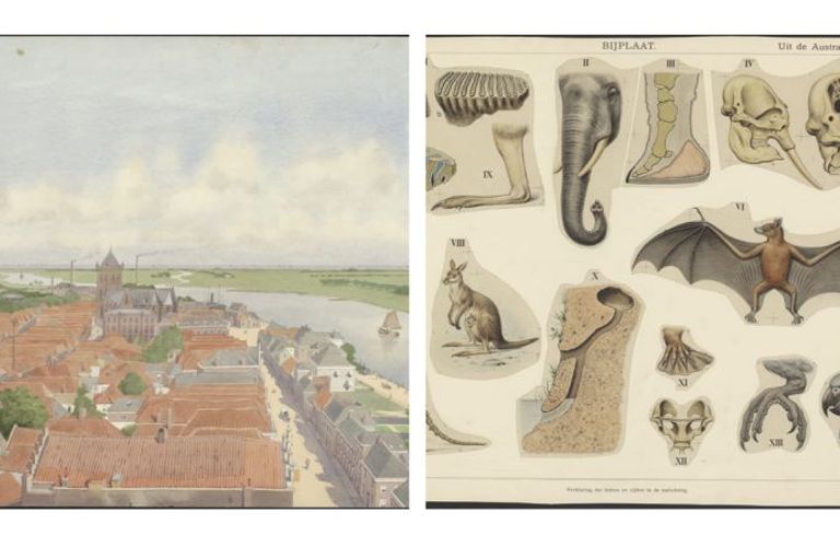 Nationaal Onderwijsmuseum maakt erfgoed collectie 'Oud Goud' digitaal beschikbaar