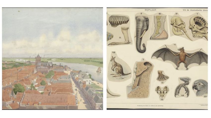 Nationaal Onderwijsmuseum maakt erfgoed collectie 'Oud Goud' digitaal beschikbaar