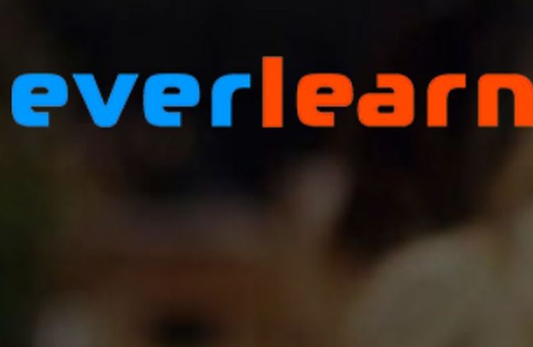Progresso Mediagroep neemt meerderheidsbelang in elearningbedrijf everlearn.