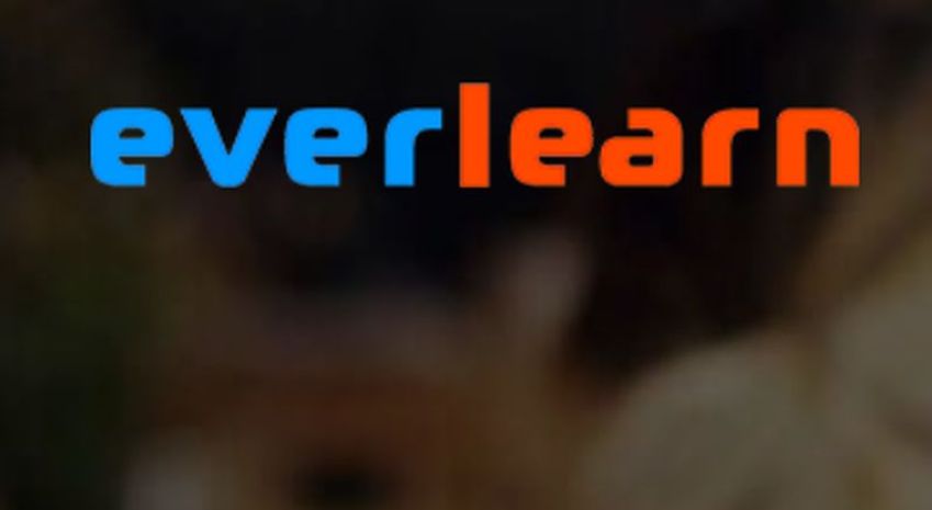 Progresso Mediagroep neemt meerderheidsbelang in elearningbedrijf everlearn.