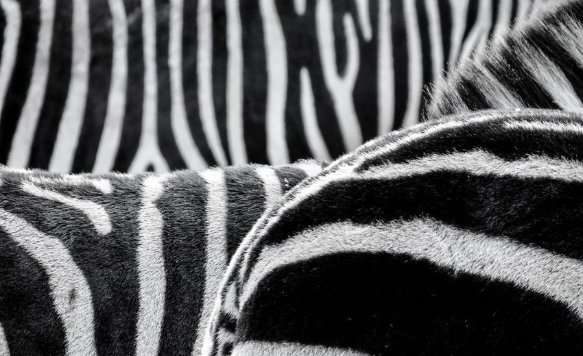 QR-code gaat streepjescode vervangen