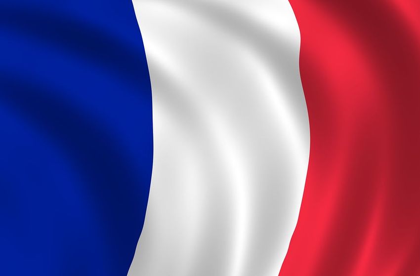 Franse auteurs en uitgevers dagen Meta voor de rechter