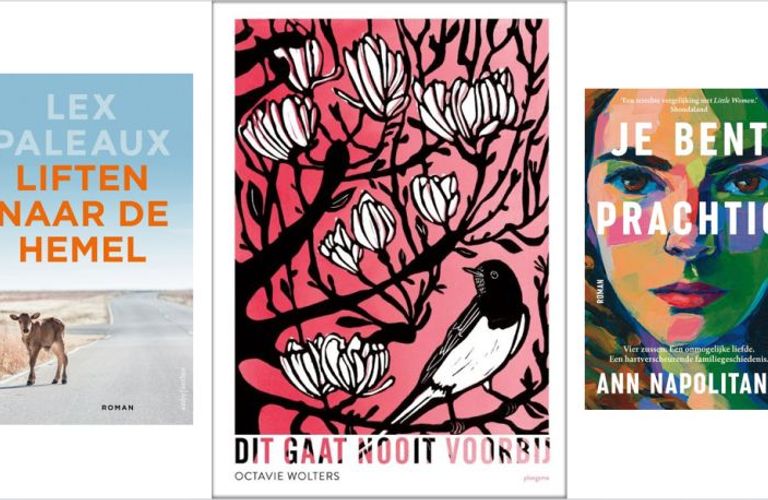 Dit gaat nooit voorbij van Octavie Wolters wint Mooiste Boekomslag 2024 