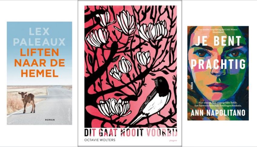 Dit gaat nooit voorbij van Octavie Wolters wint Mooiste Boekomslag 2024 