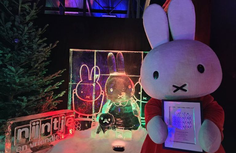 Twee Diamanten Boeken voor Nijntje