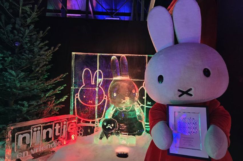 Twee Diamanten Boeken voor Nijntje