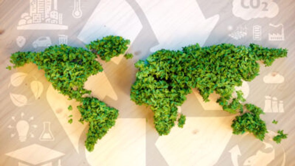 Consumentenbond pleit voor strijd tegen 'greenwashing'