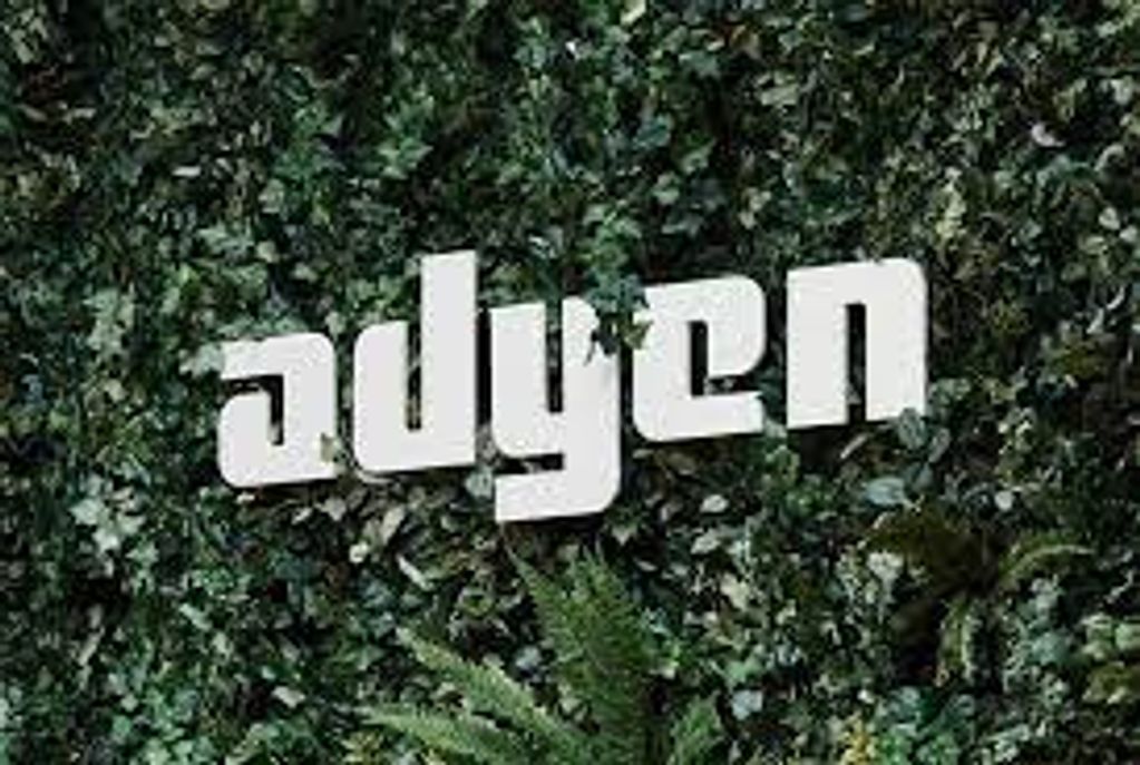 Adyen-top houdt vast aan lange termijn koers; beleggers nerveus