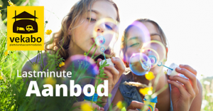 BeeldLastminute-Naardeboer.nl