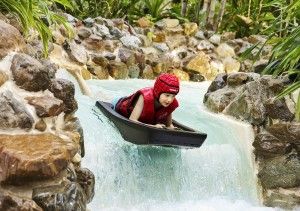 Center Parcs