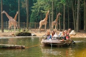 Grote Wildernis1