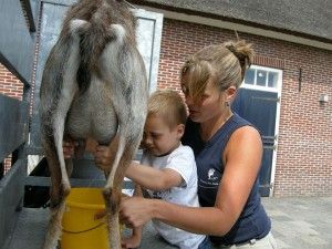 Melk kinderboerderij