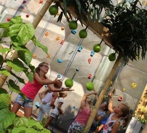 spel: kokosnoot vangen in het tropische bos