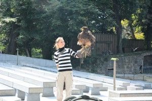 roofvogelshow