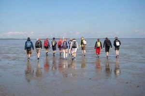 Wadlopers