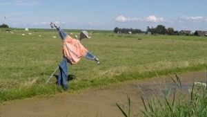 Platteland wint aan belang