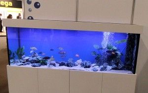 aquarium