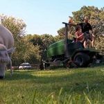 boerencamping