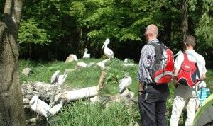 dierentuin