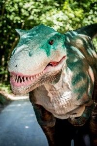parkmascotte