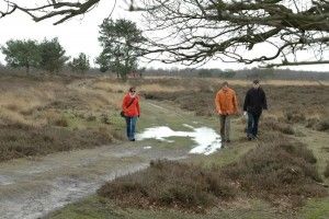 drenthe