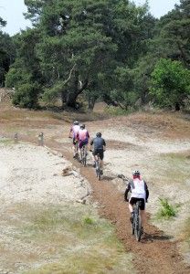 fietsen op de Veluwe