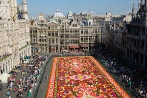 flowercarpet-brussel