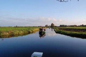 fluistervaren