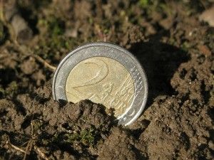 wie niet zaait, kan ook niet oogsten...
