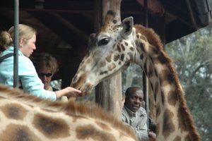 kenia