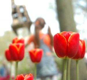 Keukenhof