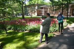 keukenhof9