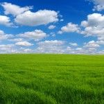 field