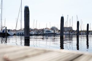 marina port zelande