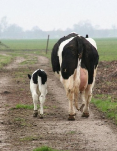 met de billen bloot