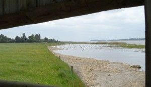natuur