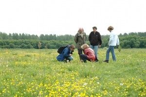 natuurexcursie-IVN-Nieuwegein