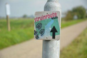 struinroute