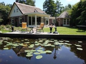 t-bokje-in-ossenzijl
