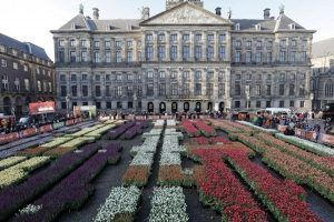 Tulpen in Amsterdam