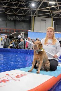 vakantiebeurs 2017 - 123