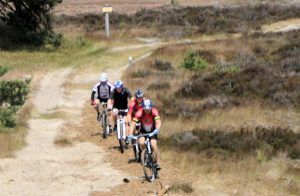 veluwe
